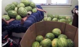 在线吃瓜--今日大赛,今日大赛精彩瞬间大盘点