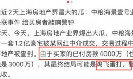 网红大瓜小说免费阅读